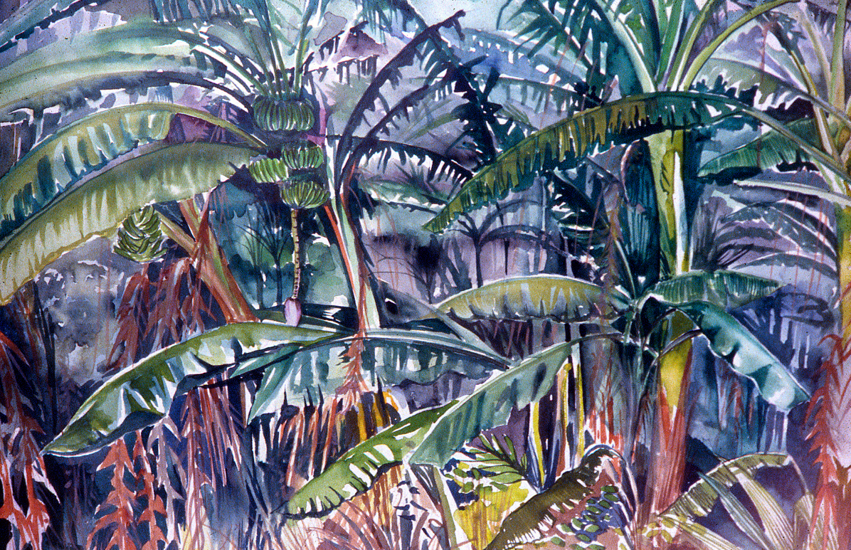Banana Palms