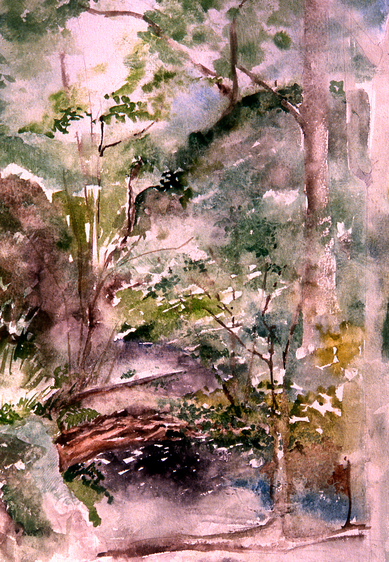 Rainy Day, Lake District