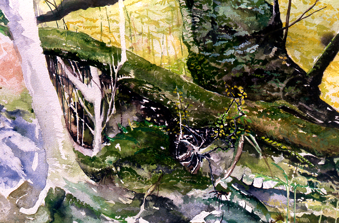Woodland