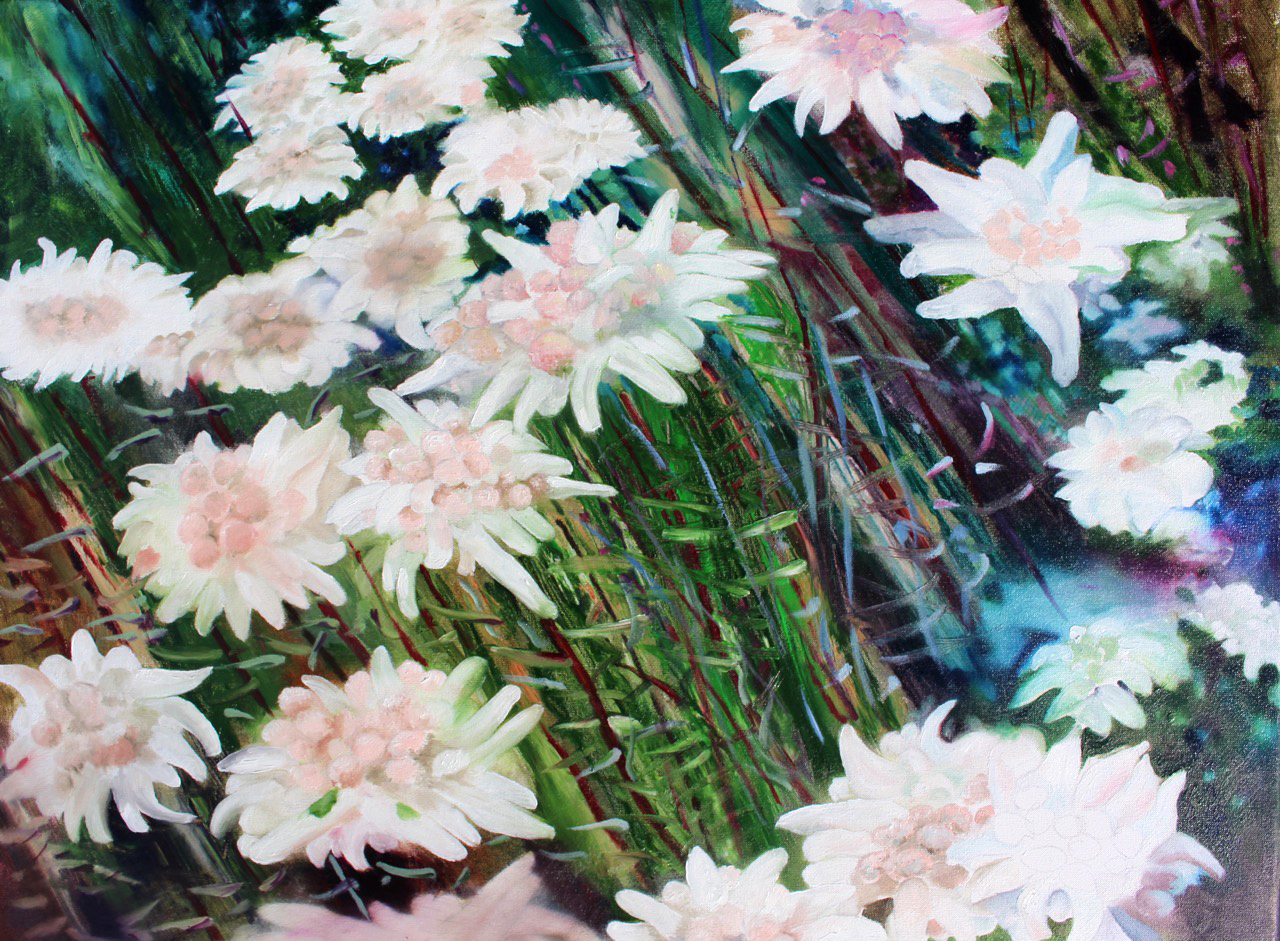 Blossom of Snow