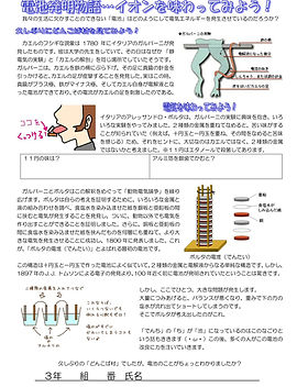 ③　電池のメカニズム　イオンの移動を理論的に示そう！-2.jpg