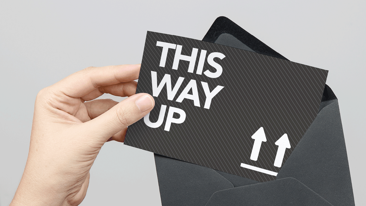 Portfolio_L&Q_promo_set.gif