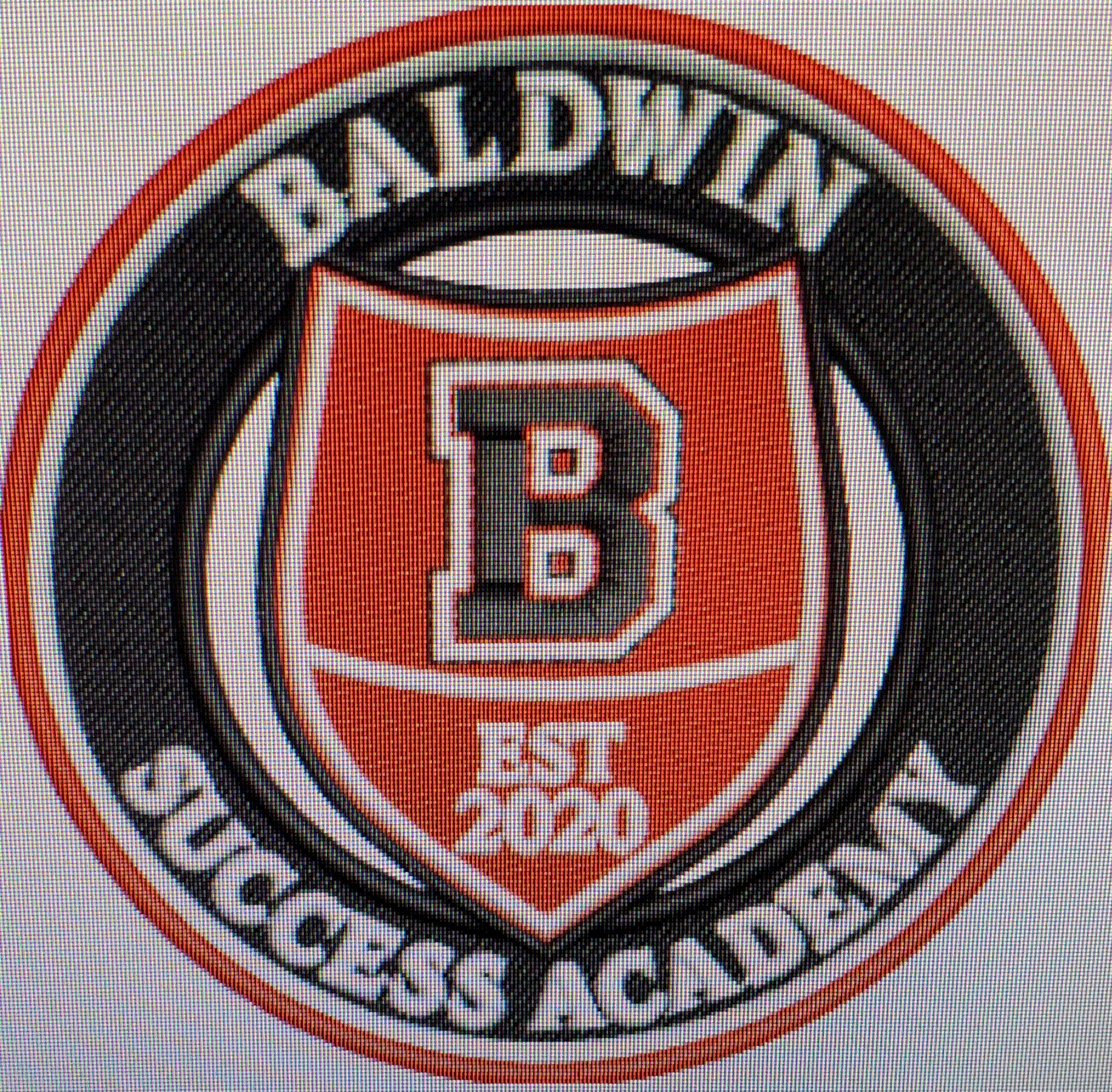 BSA logo.gif