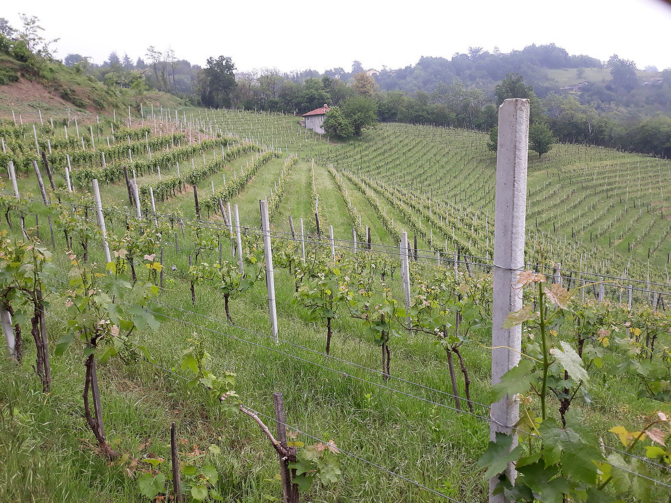 Vigna Vallegrande