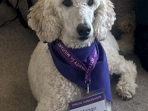 The Taxi Charity has its first four-legged ambassador, Mango Chutney