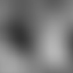 In Memoriam: Farewell to Maraine Seal