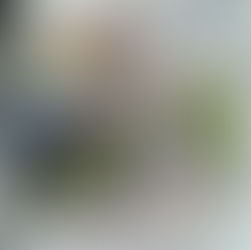 Taxi Charity in the press: de Gelderlander - 29 April to 4 May 2015