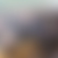 Derek's Blog: Liberators Diary - 2 to 6 May 2015