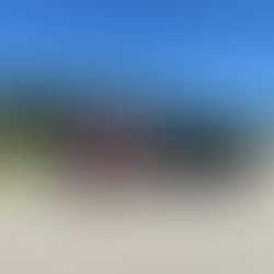 Taxi Charity Newsletter - March 2026