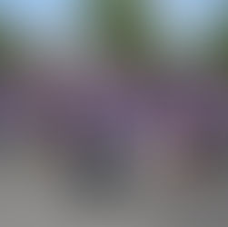 Taxi Charity Newsletter - January 2026