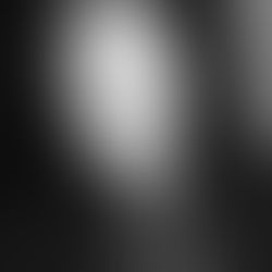 Ted Rogers: Liberators Diary - 2 to 6 May 2015