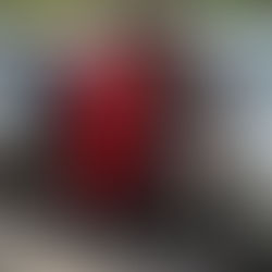 Spectacular photos from our recent Arnhem trip