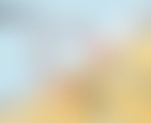 Taxi Charity committee members accompany veterans to 73rd anniversary of Dieppe Raid