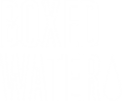 boxed water, business promotion, ambassador company, marketing events, event staffing, event marketing, ambassador staffing, event marketing, mobile marketing tours, event marketing agency, National In-Store Retail Demo Partner
