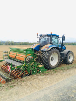 179265752_1641020382764801_5291201591096984073_n