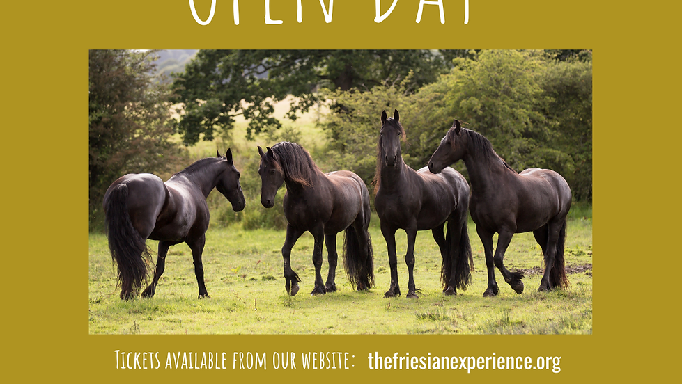 EASTER Open Day - Saturday 8th April 2023