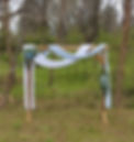 Arbor.jpg