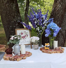Baby Shower 10.jpg