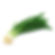 Лук свежий молодой зелёный 100 г