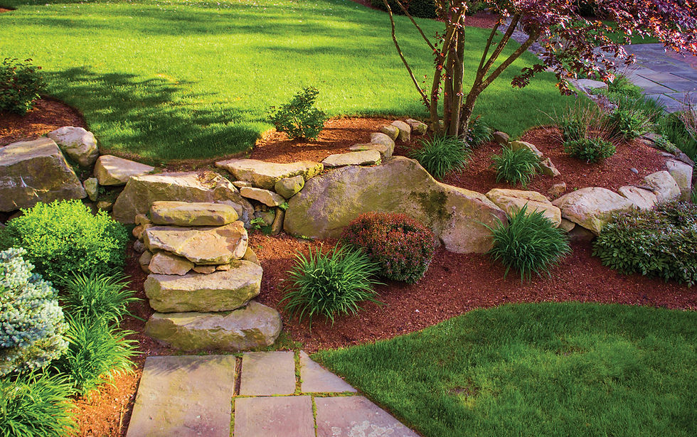 Cairns Landscaping Garden Lawn Care Property Maintenance Expert Advice
