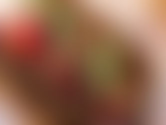 From the Land to the Lesson: What Schools Gain from Bush Tucker Workshops