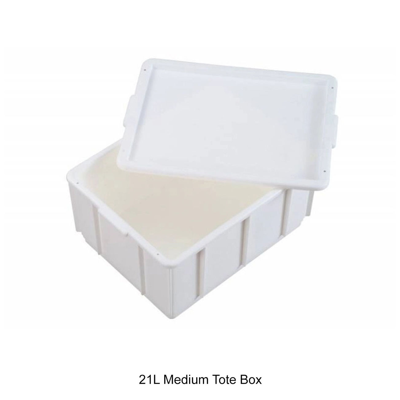 21L Medium Tote Box.jpg