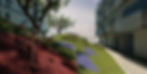 Community Hill