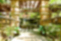 Rock Landscape Design and Installation _1
