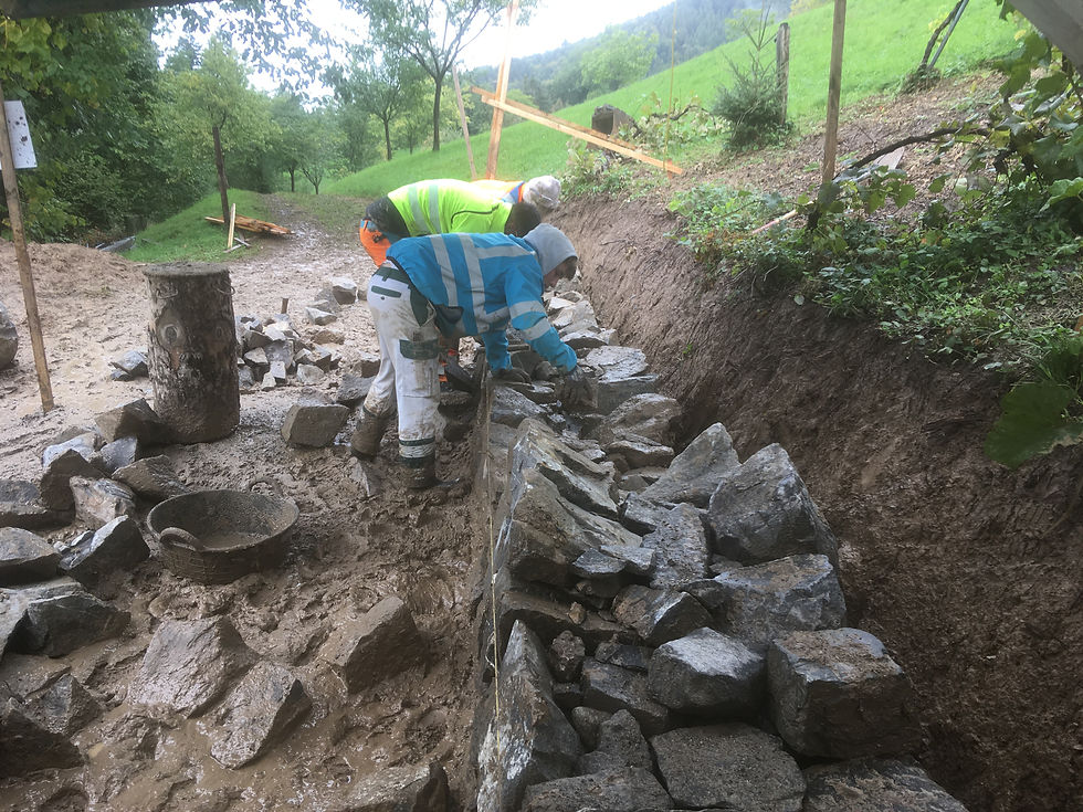 Kurs Trockenmauern, Maurerlehrlinge, Zug