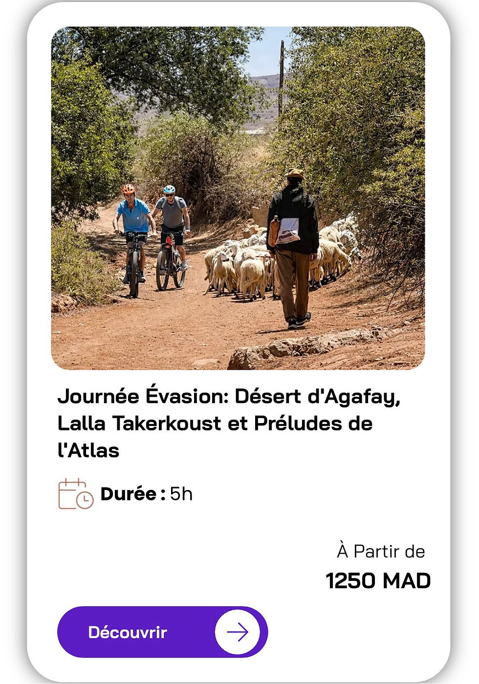 Journée découverte d'Agafay en vélo électrique avec repas inclus au lac