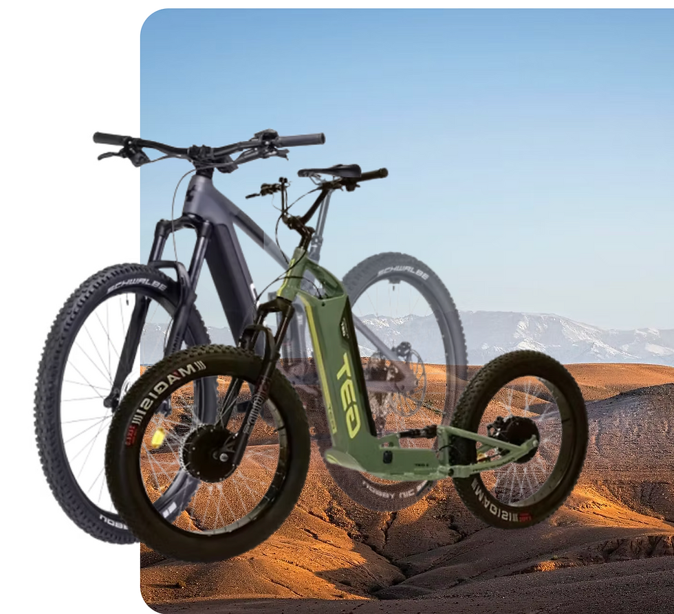 Deux vélos électriques au premier plan, l'un vert avec "TEO" visible. Fond désertique sous un ciel bleu clair.