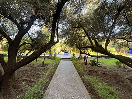 Accès des chambres jardins