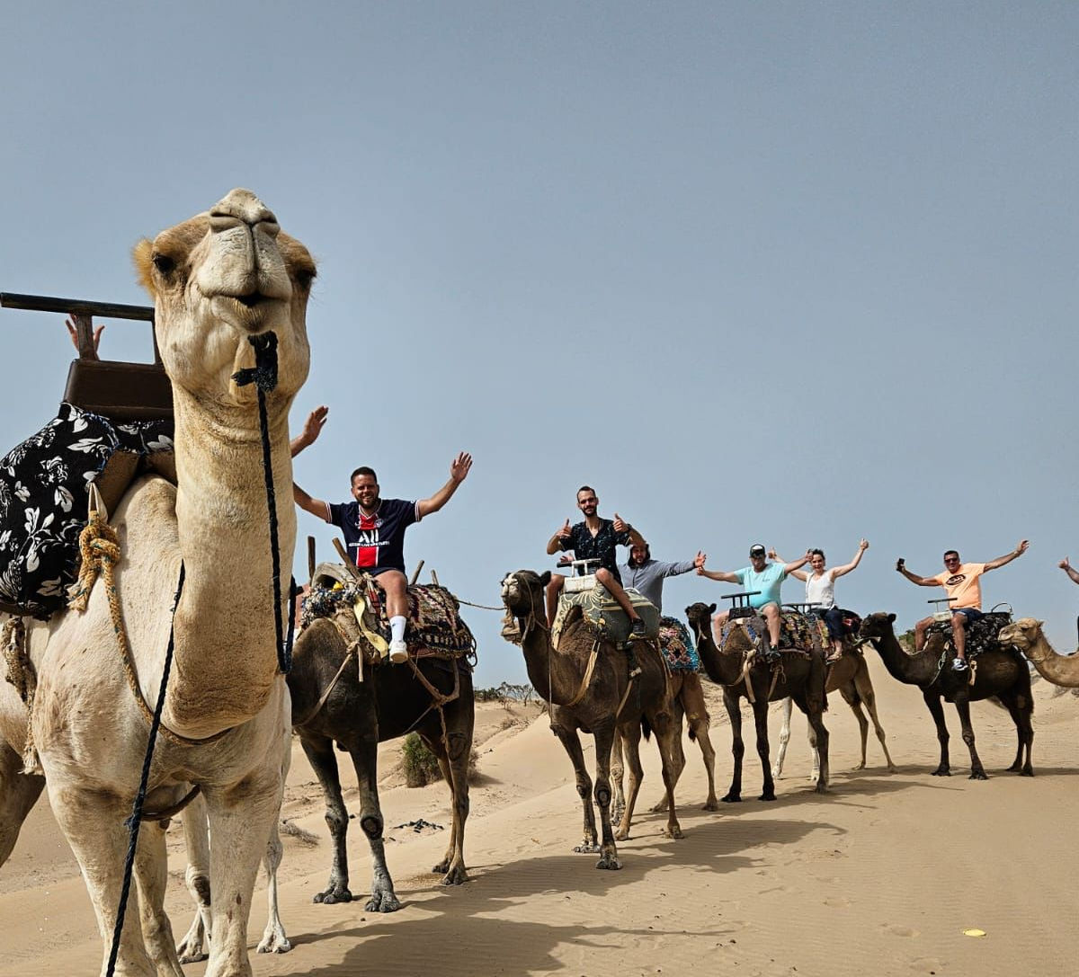 Plusieurs personnes à dos de chameaux traversent le désert sous le soleil. ALLMOOV MARRAKECH