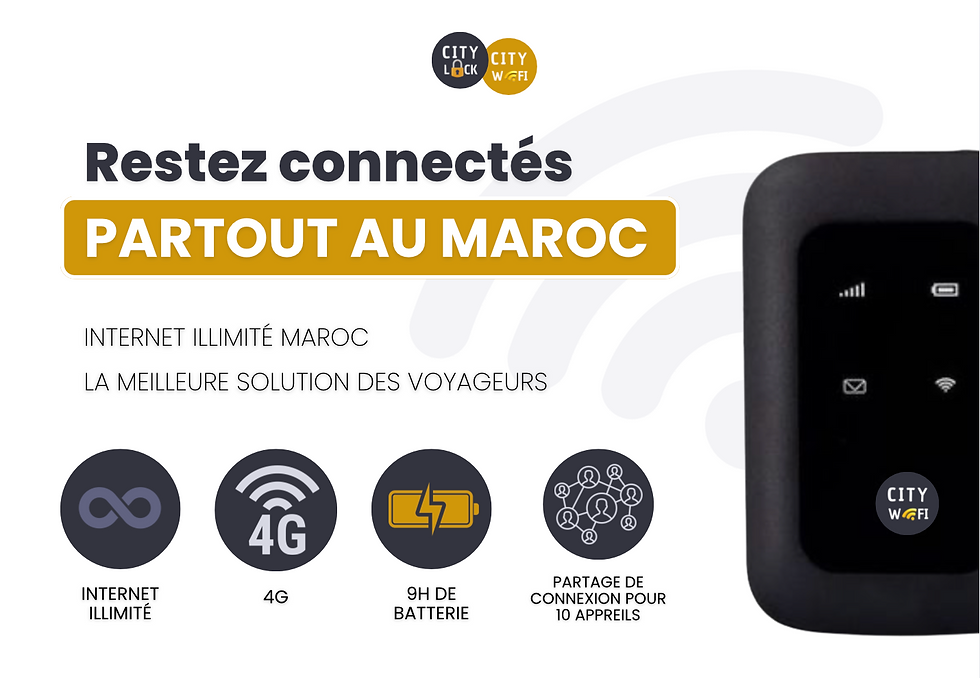 pocket wifi c'est quoi ?
