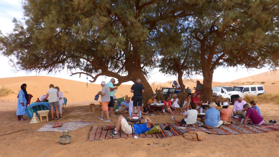 déjeuner sous les tamaris du sahara