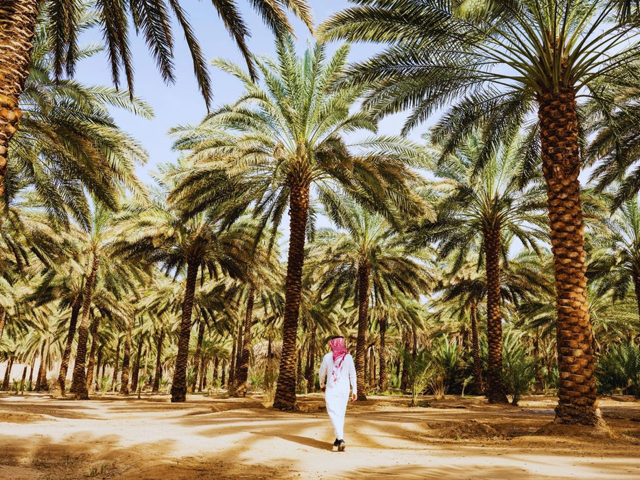 2 jours au Sahara | Buggy Polaris