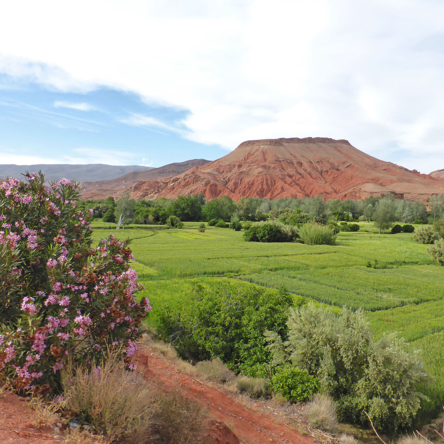 traversée du maroc circuit itinérance tout inclus de marrakech à Merzouga en 4x4