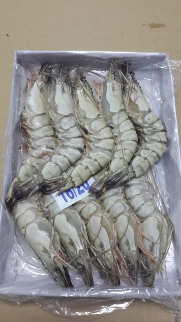 WhatsApp Image 2020-10-12 at 9.45.36 AM.jpeg