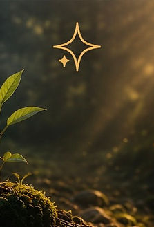 One leaf in the dark with sunrays breaking through the trees above