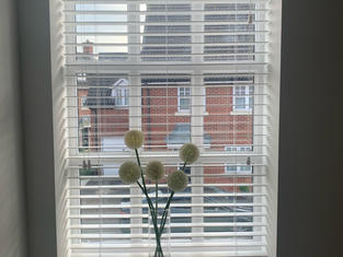 image8.jpeg