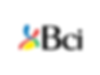 Logo BCI.png