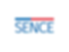 Logo Saesa.png