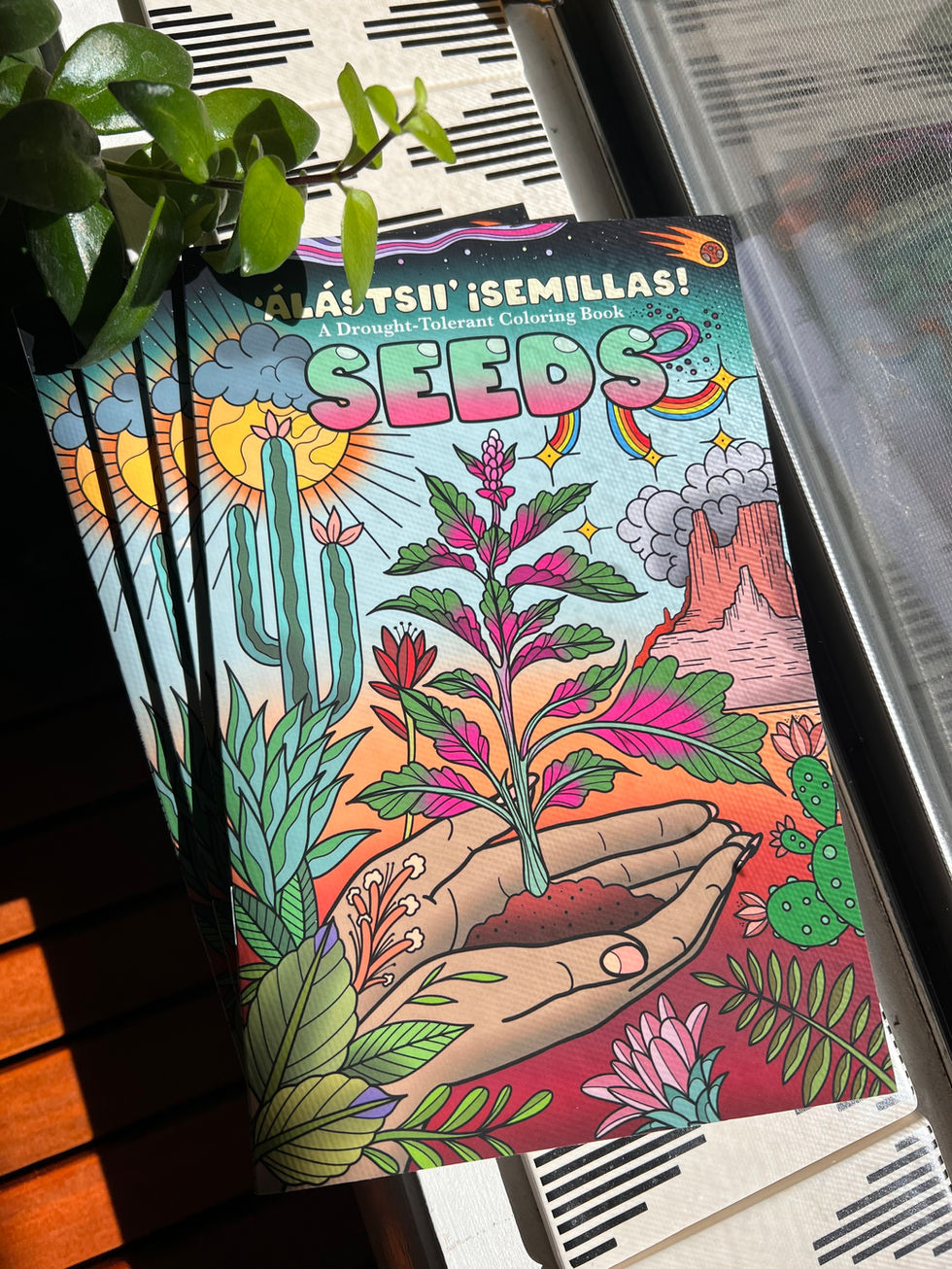 seeds2024.jpg