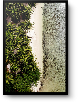 coconut beach.png