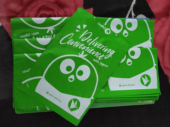 Pgeon Flyers.jpg