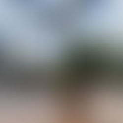 ein Schulhof, mit Blumen, die auf einem Tisch stehen. Im Hintergrund spielen Kinder