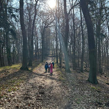 Kinder im Wald
