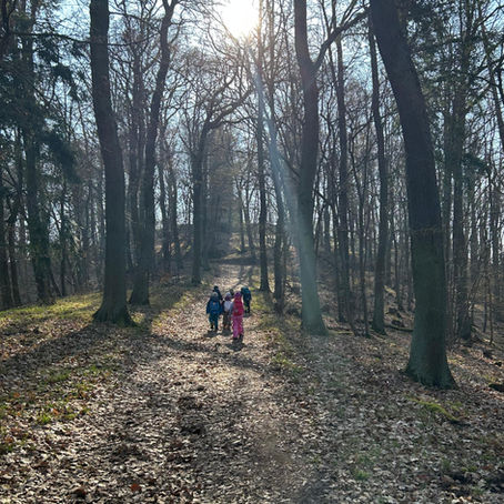 Kinder im Wald