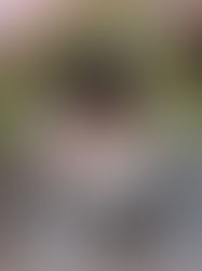 selbstgebautes Modellhaus aus Rinde und Moss mit Terrasse