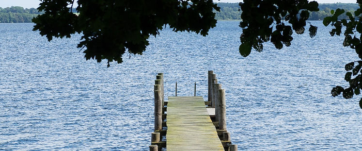 Badebro - Gribskov - web_edited.jpg